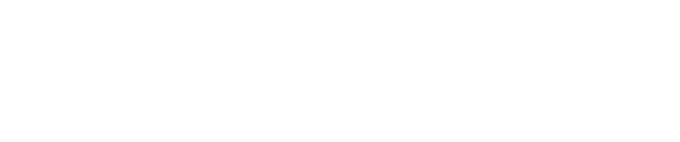 VEX GROUP