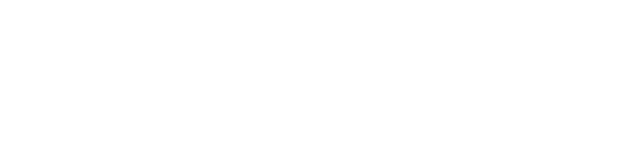 VEX SOLUTIONS